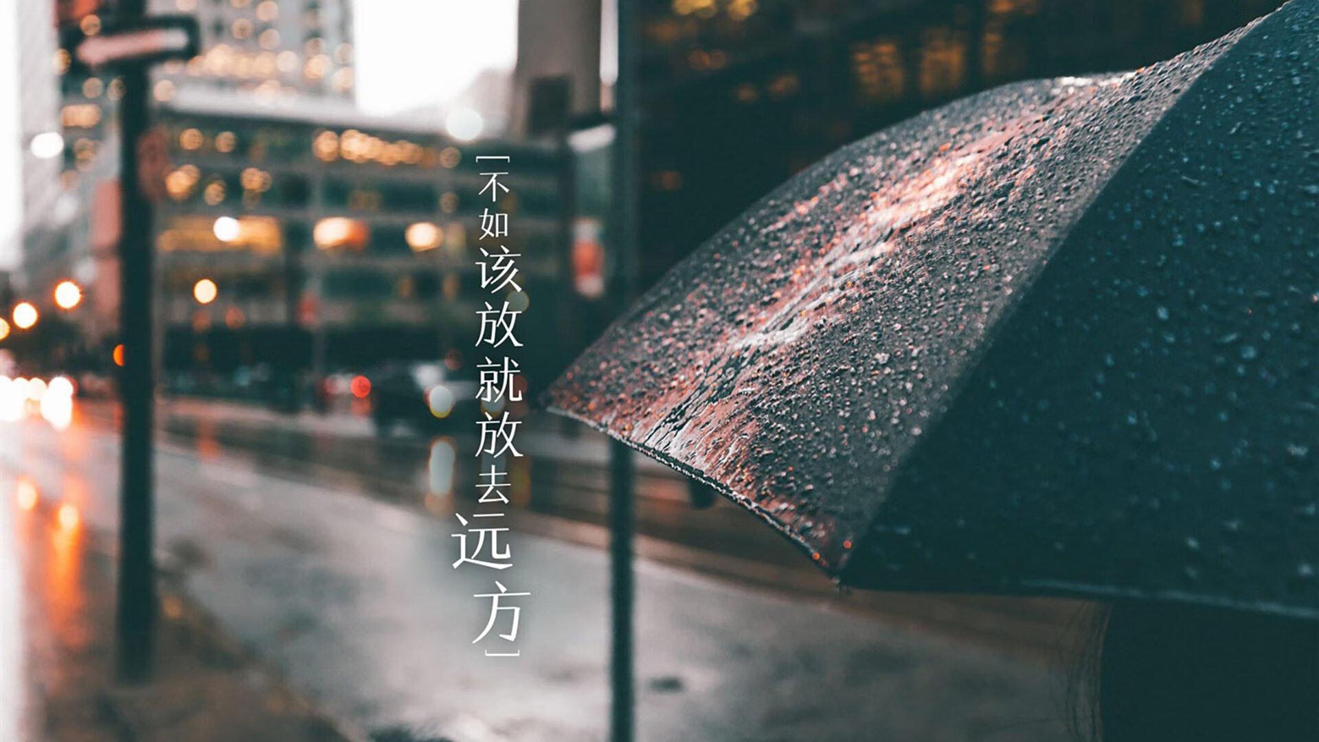kaiyun登录入口-哥伦比亚青少年马术选手在2024年全国青少年马术锦标赛中表现出色，获得多项荣誉。
