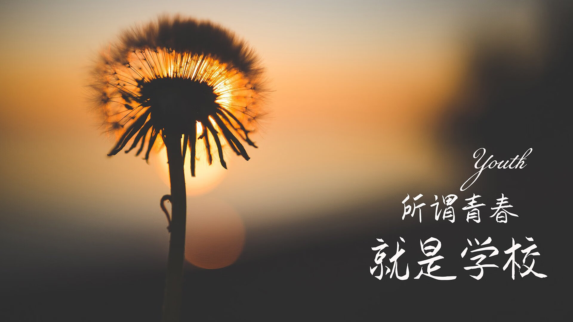 kaiyun登录入口-尤文图斯对阵多特蒙德：胜者难分胜负，尤文图斯vs多特蒙德