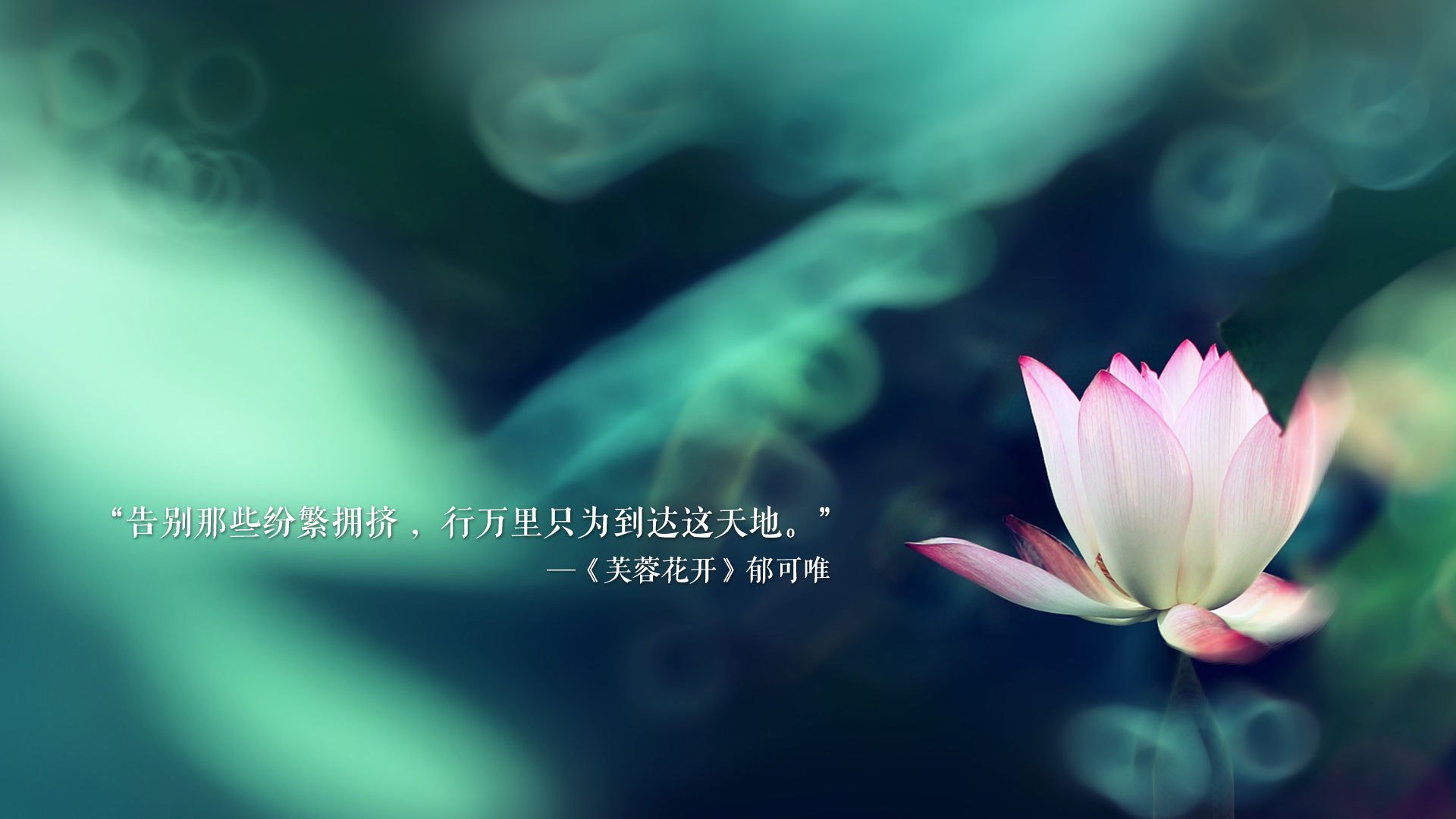 开云官网APP下载-森林狼压哨战胜湖人，季后赛首轮中爱德华兹创下生涯新高，森林狼爱德华兹身高臂展