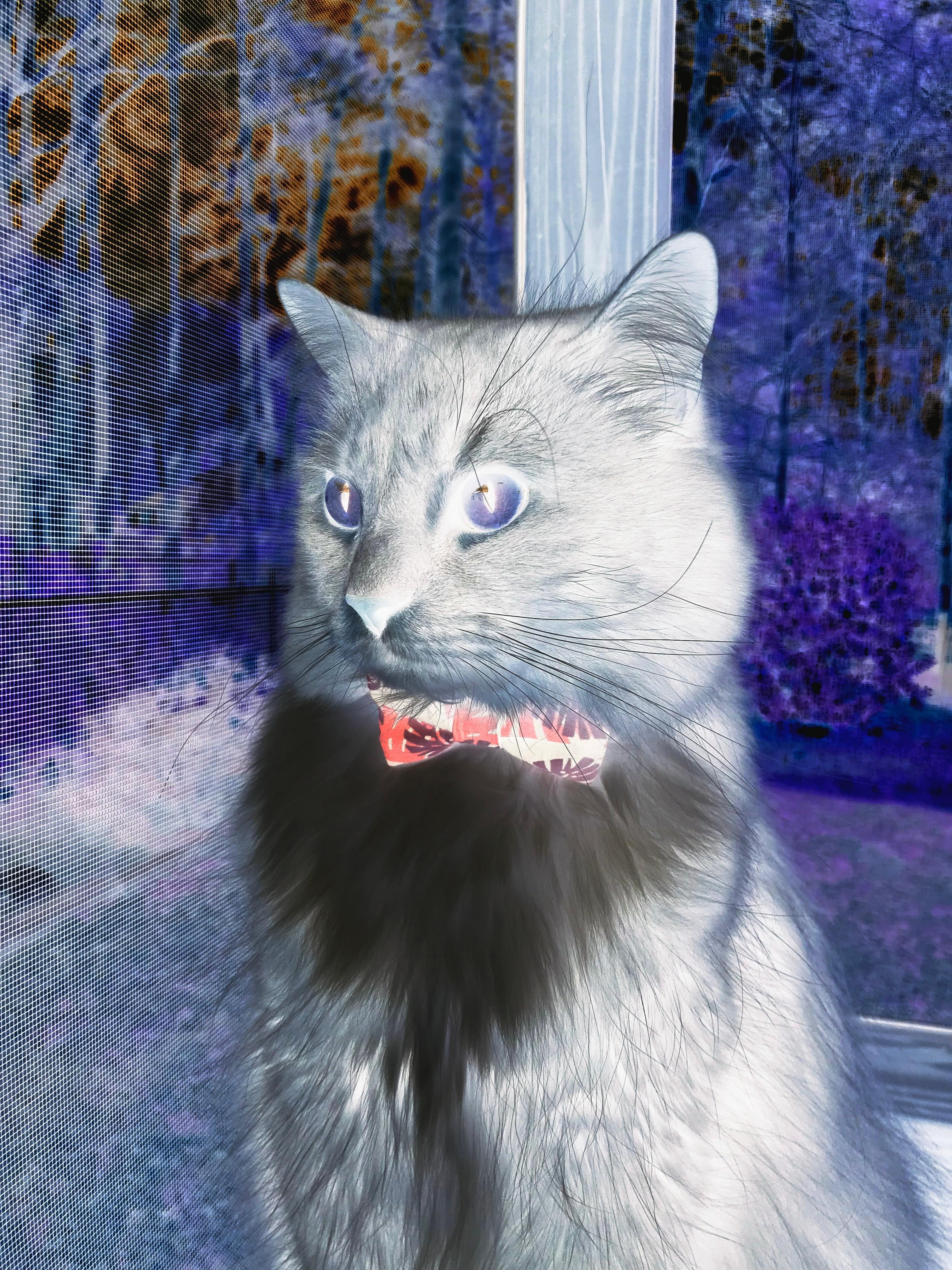 中国三人女篮战术配合日趋成熟,中国三人组女篮