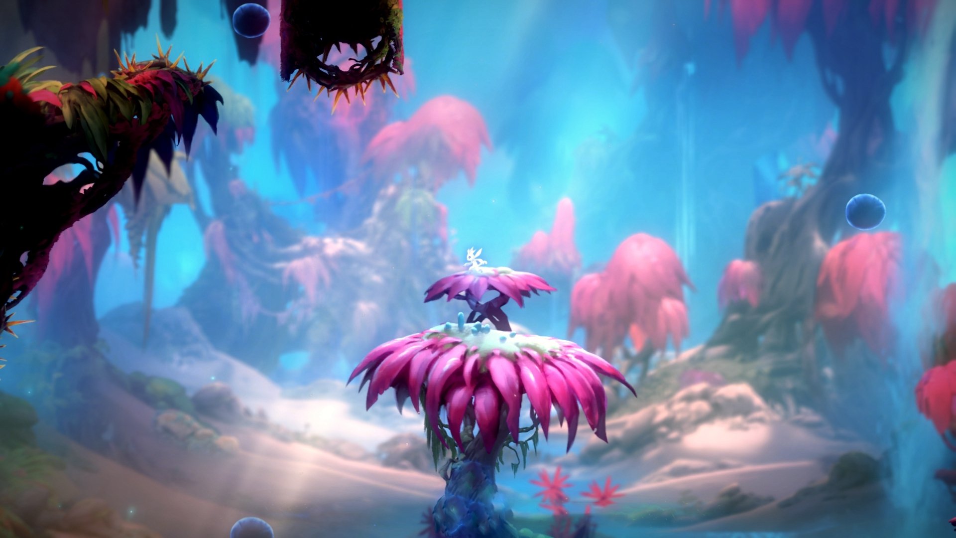 全国大学生健身操舞锦标赛展现青春风采,全国大学生健美操