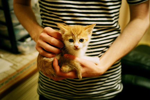 内线脚步技术对得分效率的贡献,内线基本功