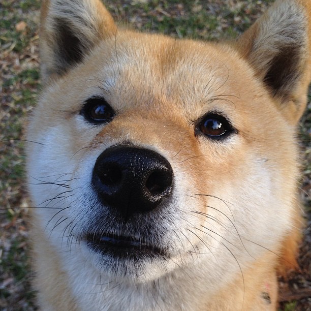 勇士新秀与老将结成互助小组共同进步,勇士新秀2020