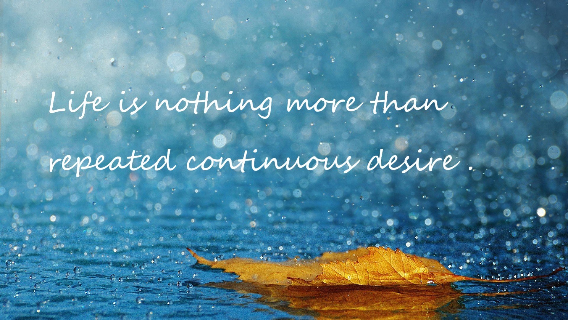 奇才通过快节奏掌控上半场主动权,奇才通过快节奏掌控上半场主动权的球员