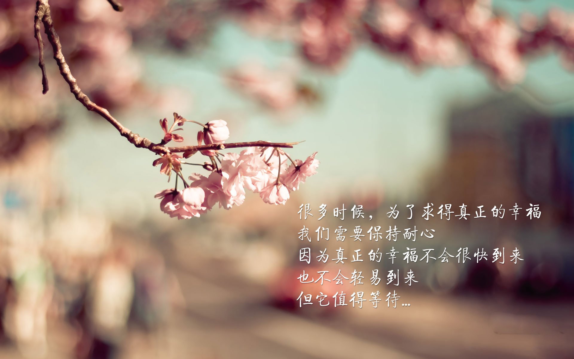 篮球教练认证课程开设线上版扩大培训覆盖范围，篮球教练证报名入口