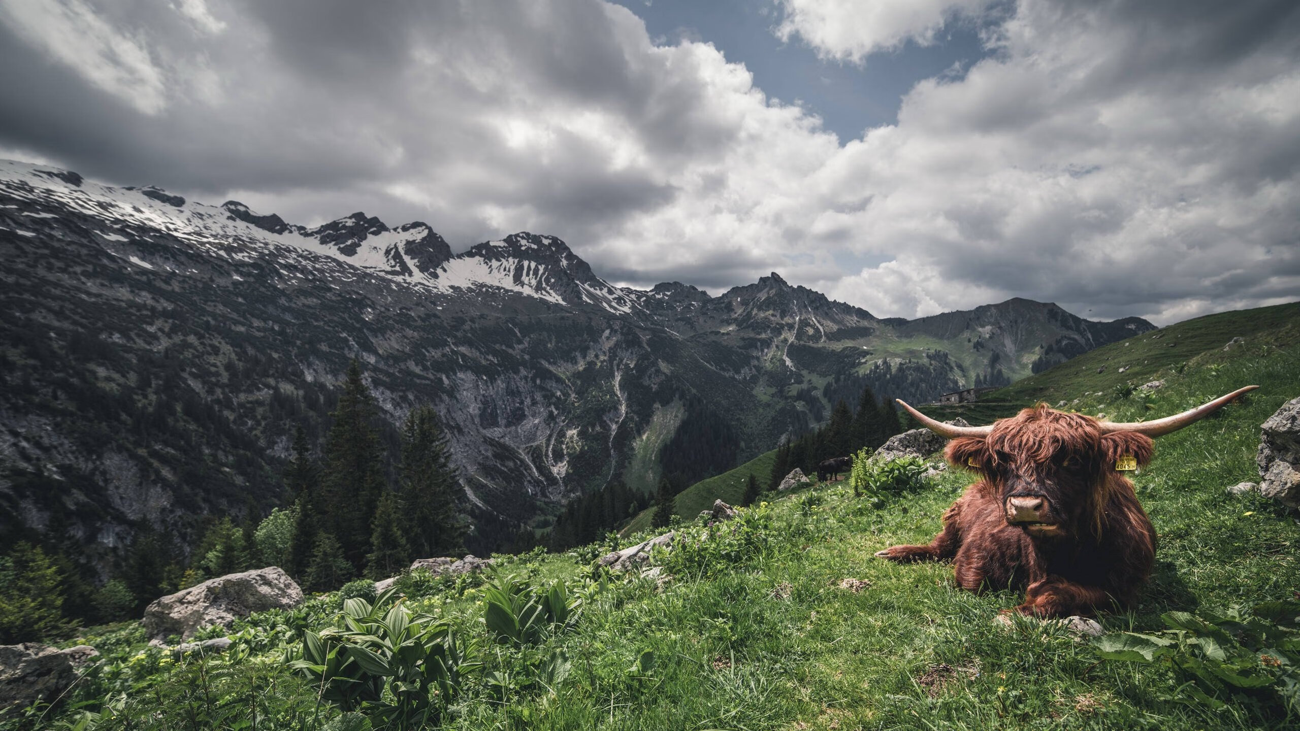 青少年篮球项目引入营养干预系统助力体能全面提升,青少年篮球训练营训练计划